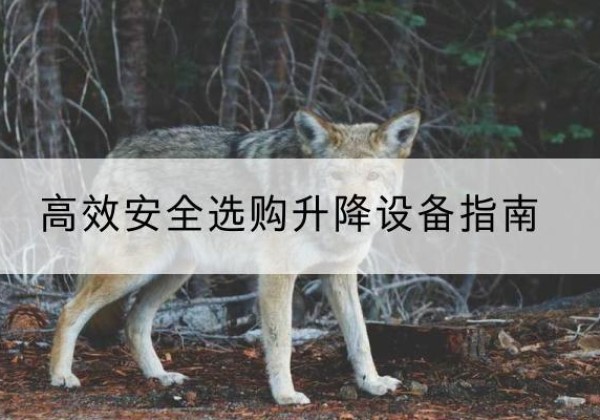 澜沧升降货梯厂家推荐-*安全选购升降设备指南