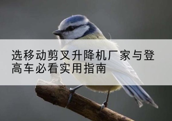 澜沧电动升降机厂家-选移动剪叉升降机厂家与登高车必看实用指南