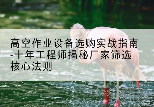 澜沧剪叉式升降机厂家-高空作业设备选购实战指南-十年工程师揭秘厂家筛选核心法则